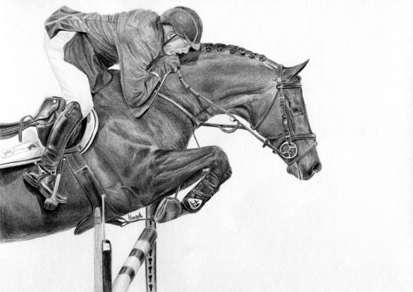 Лошадь карандашом конкур