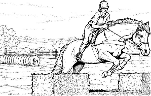 Раскраска всадник на лошади