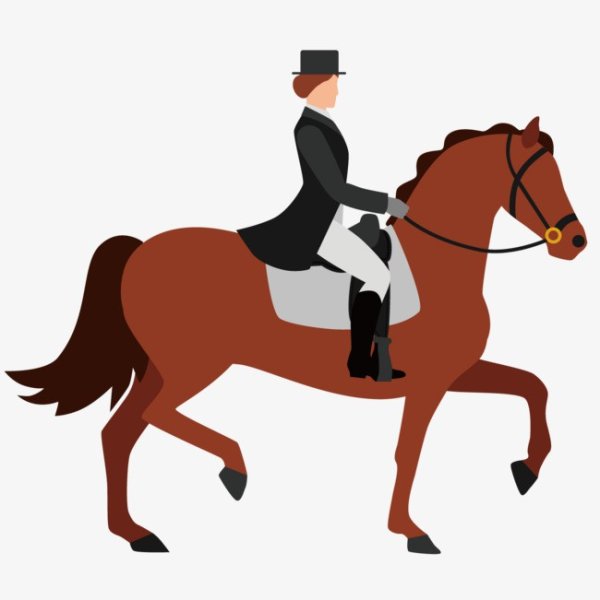 Верховая езда вектор