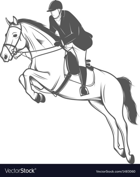 Конный спорт Графика