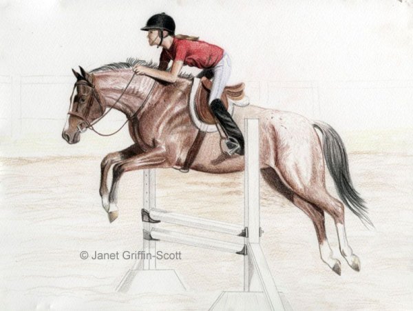 Лошадь карандашом конкур