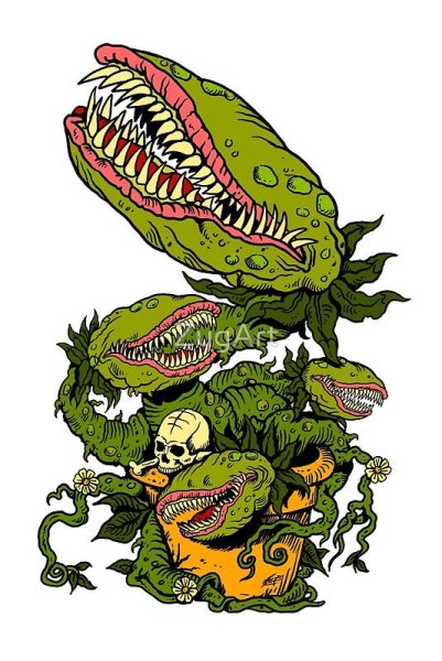 Венерина мухоловка референс