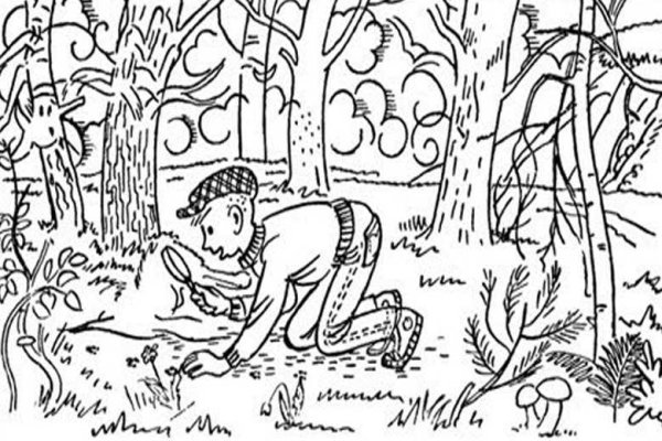 Найди зайца