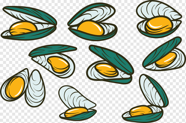 Мидии вектор