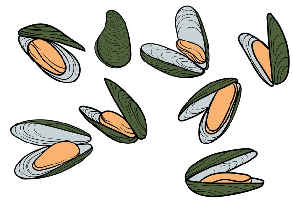 Устрица иконка