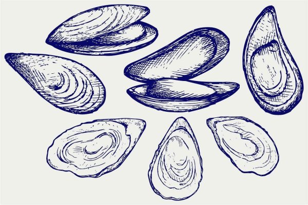Устрица карандашом
