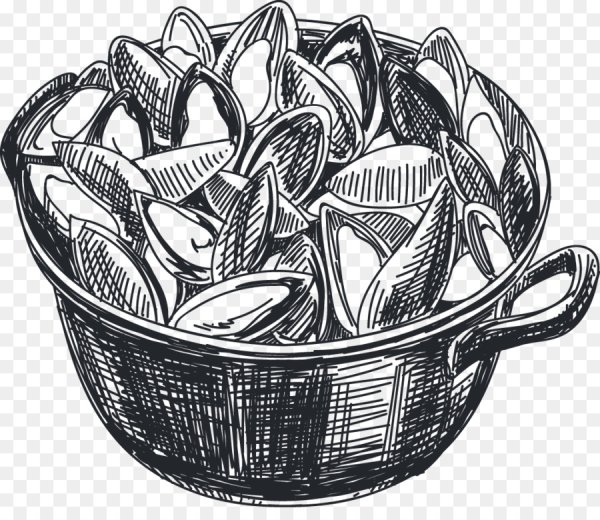 Мидии вектор