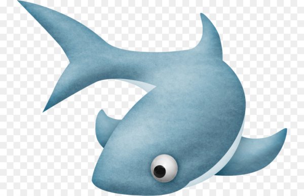 Акуленок без фона