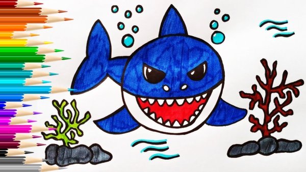 Китовая акула мультяшная