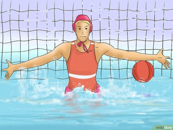 Водное поло