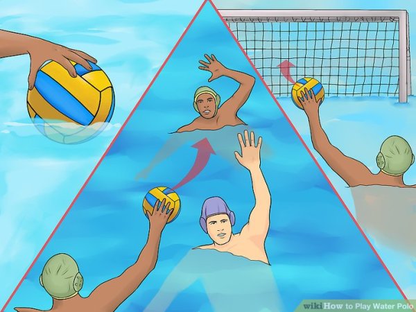 Водное поло иллюстрация