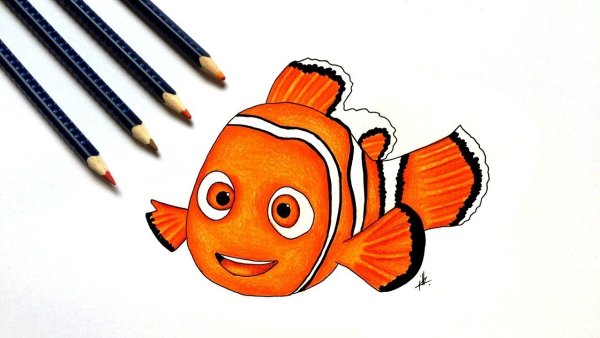 Рыба Немо, рыба - клоун, рыба, дори, рыба.