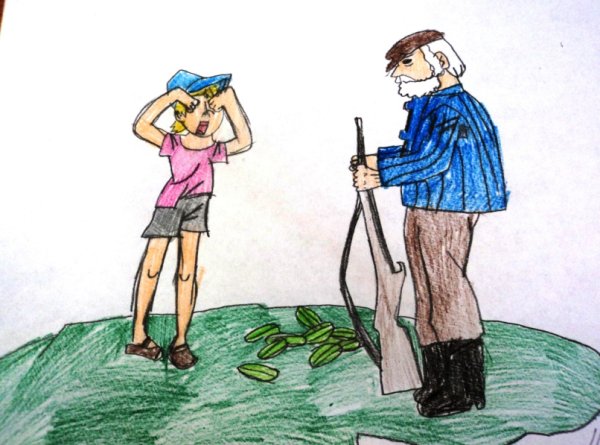 Котька огурцы Носов