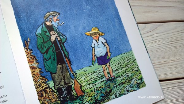Рисунок к рассказу Носова огурцы
