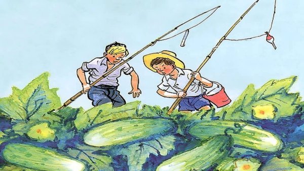 Огурцы н. н. Носова.