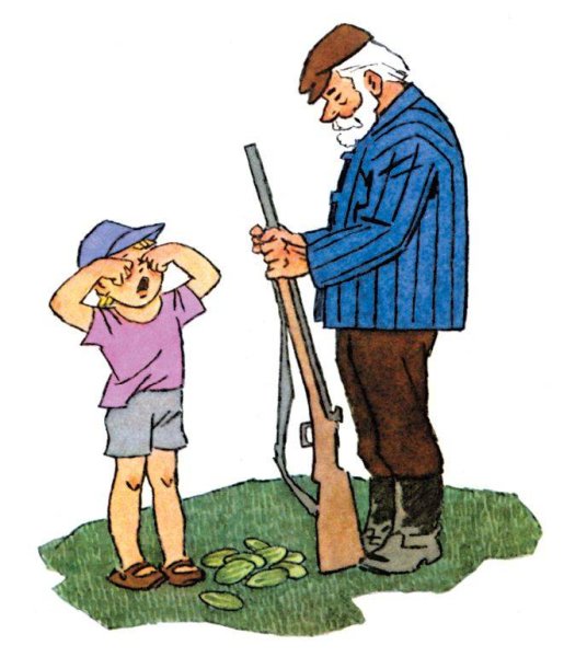 Огурцы сказка Носова