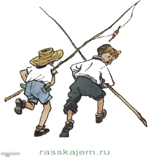 Раскраска Носова огурцы