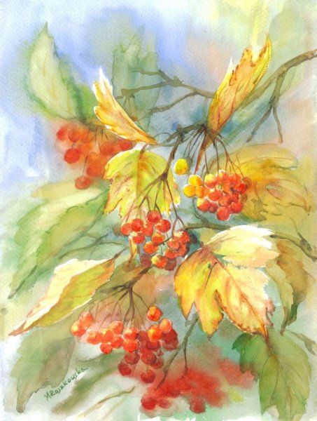 Осенние зарисовки