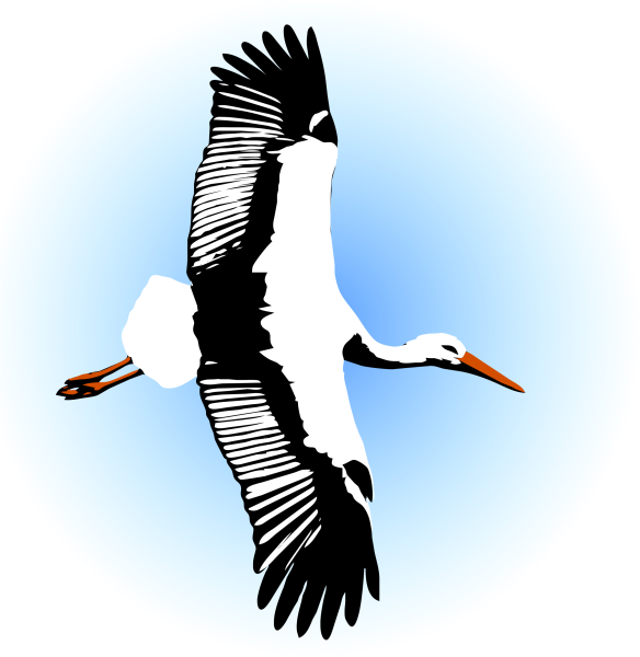 Журавли улетают