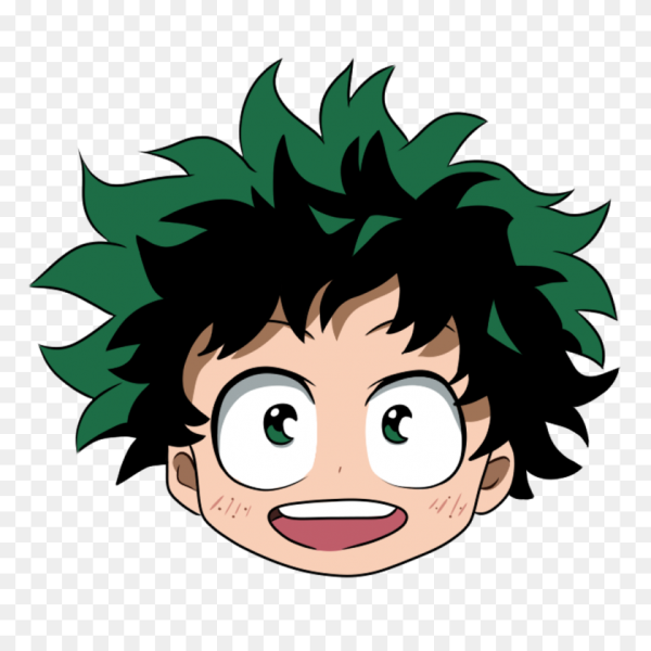 Мидория портрет