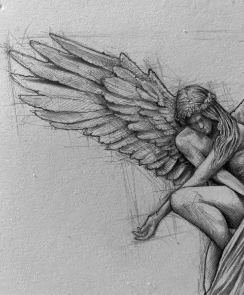 Люди х с крыльями