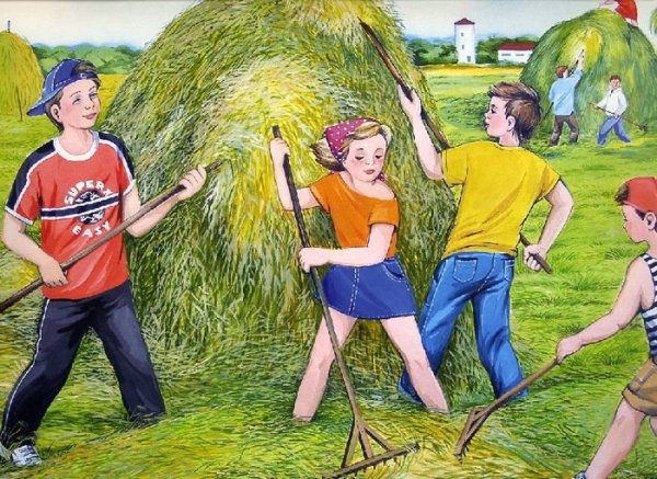 Труд людей летом