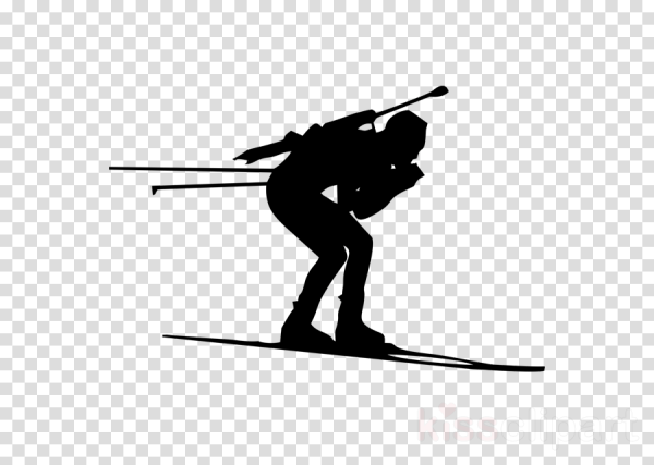 Биатлон арт