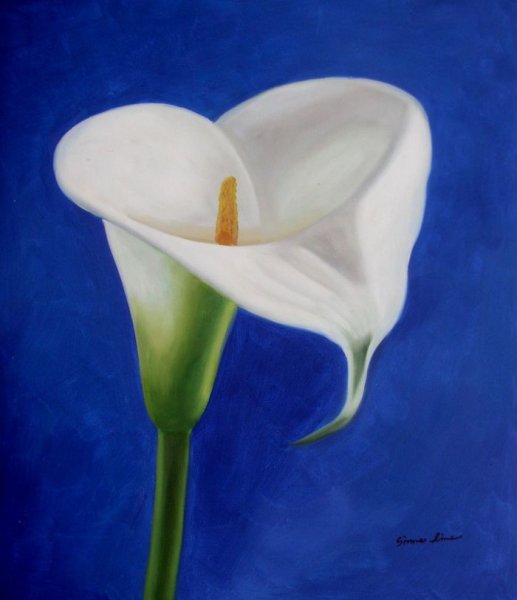 Зантедеския Ботаническая