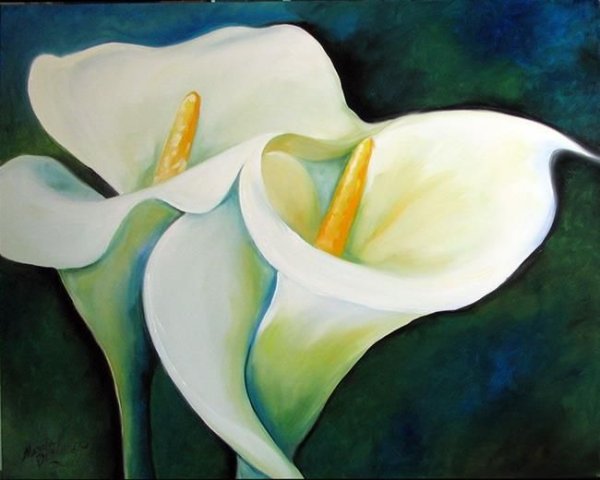 Каллы карандашом