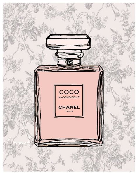 Духи Коко Шанель рисунок