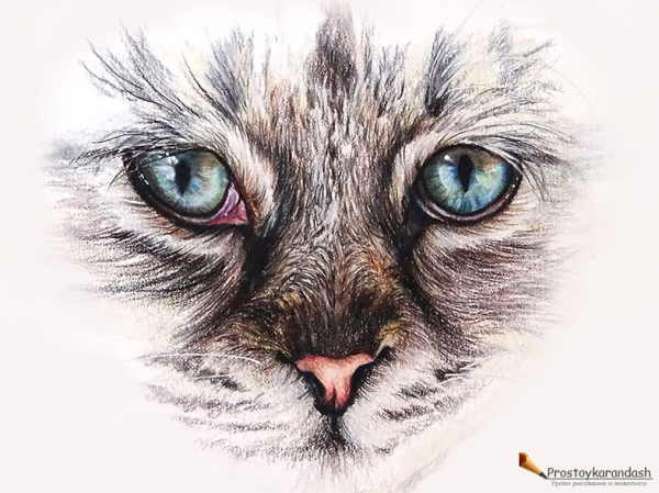 Кошачий глаз