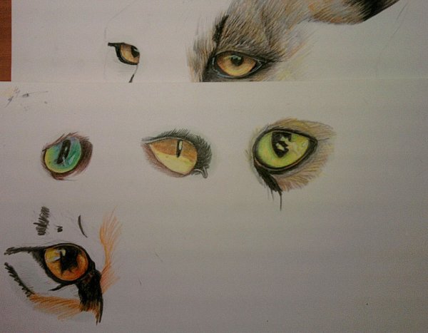 Глаза животных для рисования