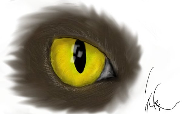 Жёлтый кошачий глаз рисунок