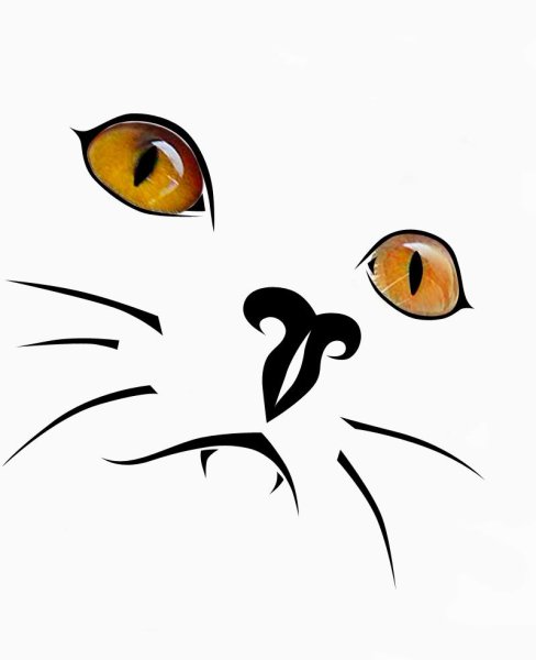 Набросок кошачьей морды