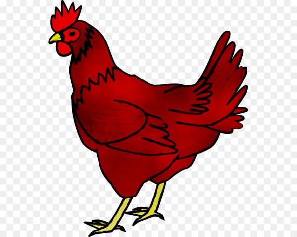 Белые курочки на Красном фоне