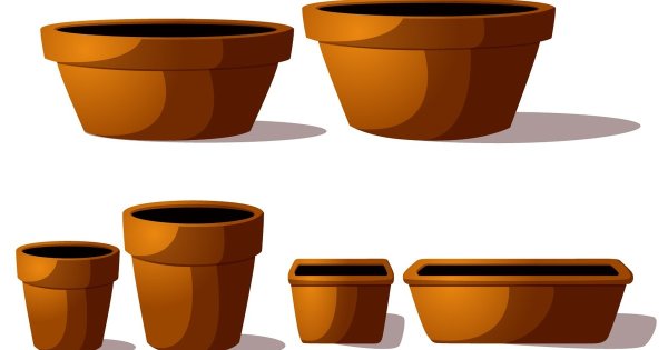 Цветочный горшок с землей