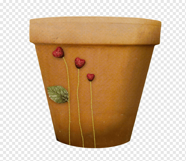 Ботаническая акварель пряные травы