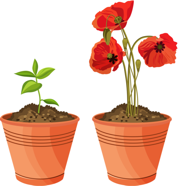 Горшок для цветов