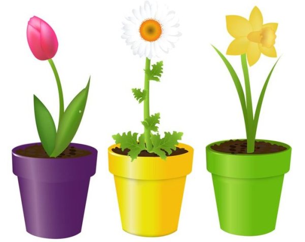 Скетч цветок в горшке