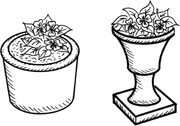 Растения в горшке эскиз