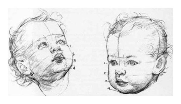 Пропорции головы ребенка