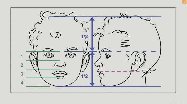 Детские пропорции лица