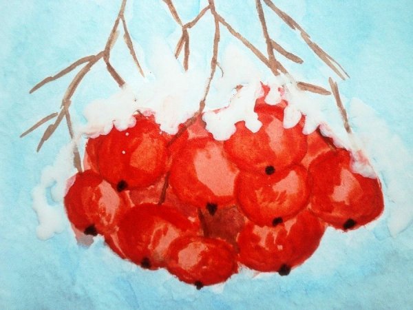 Рисование для детей рябина зимняя