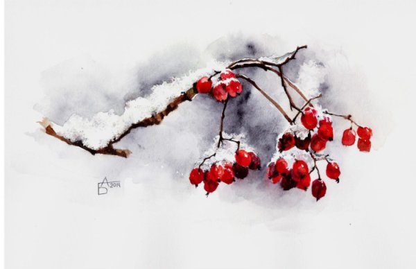 Ветка рябины зимой детям