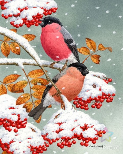 Валберис алмазная мозаика Снегири