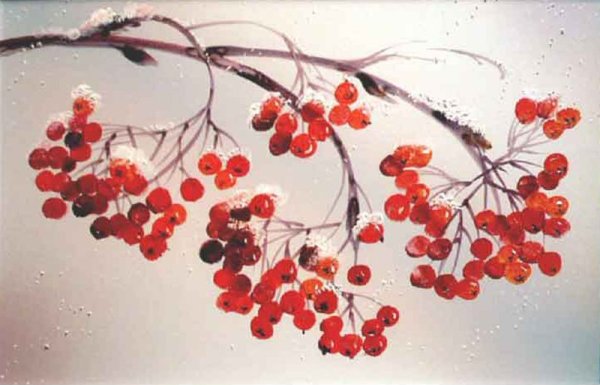 Рисование ветка рябины зимой