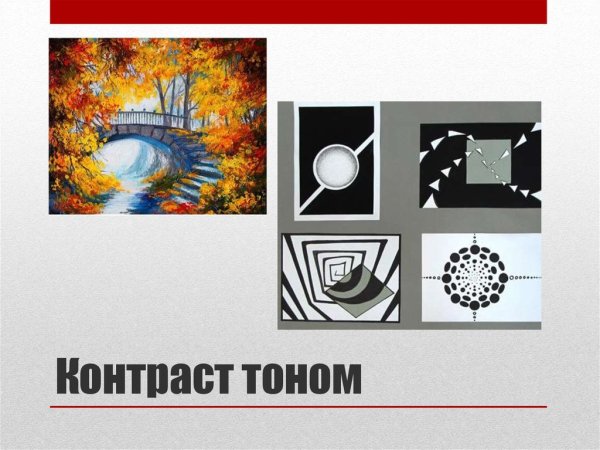 Силуэт панды на белом