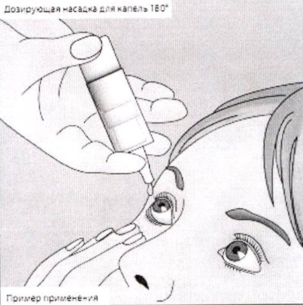 Конъюнктивальный мешок глаза