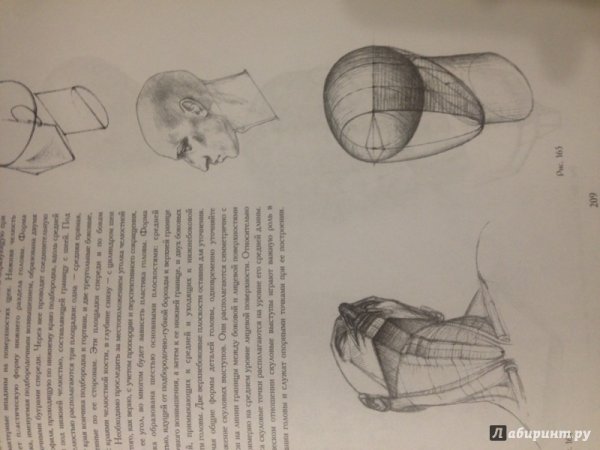 Основы рисования академическое построение книги