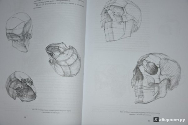 Николай ли голова человека иллюстрации